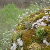 Paysage de Val-Suzon